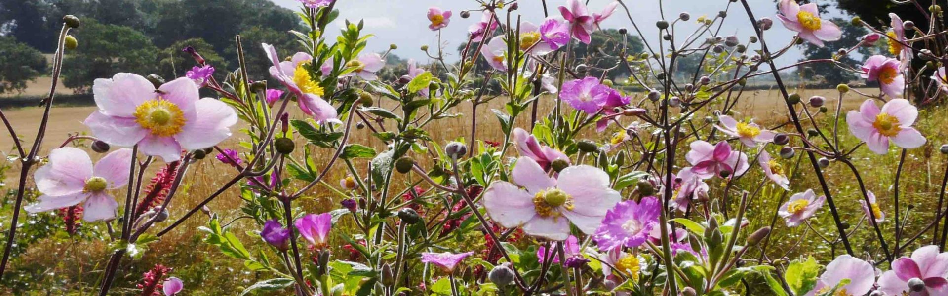 Alveley and Romsley Parish Council